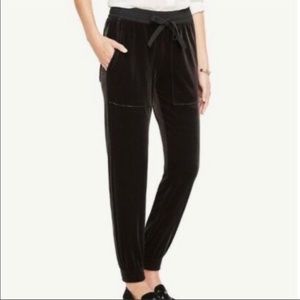 NWT Ann Taylor Velour Joggers Small